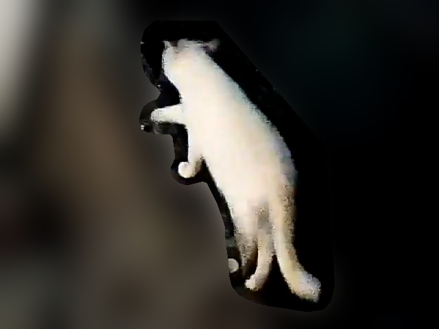 侵入者 その1