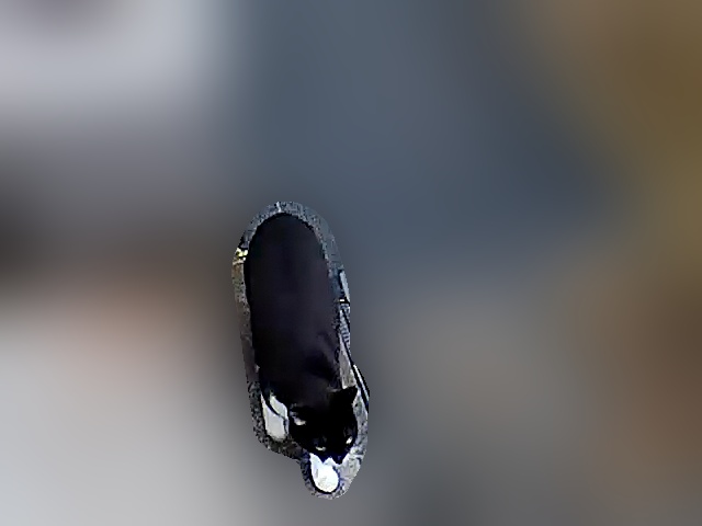 侵入者 その2