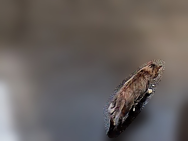 侵入者 その3