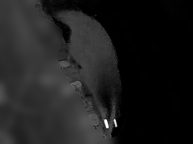 侵入者 その4