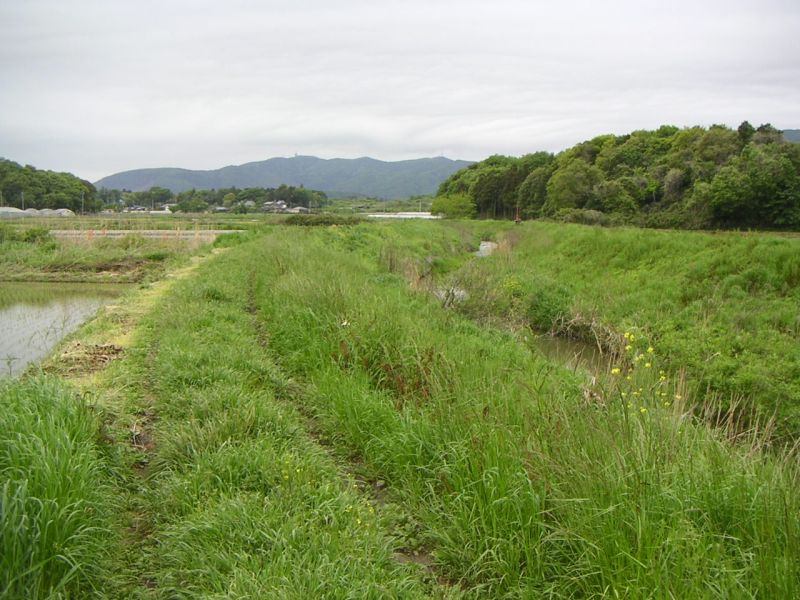 かすみがうら市上稲吉