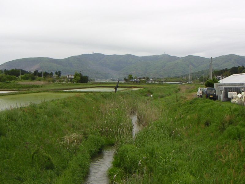 新治村南永井