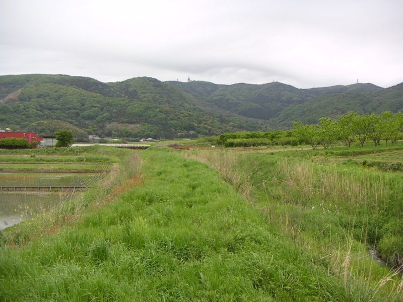 新治村沢辺