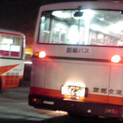 桜の木