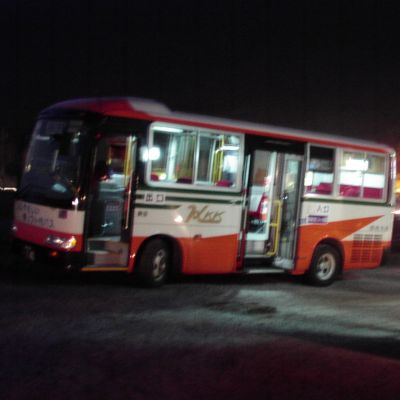 桜の木