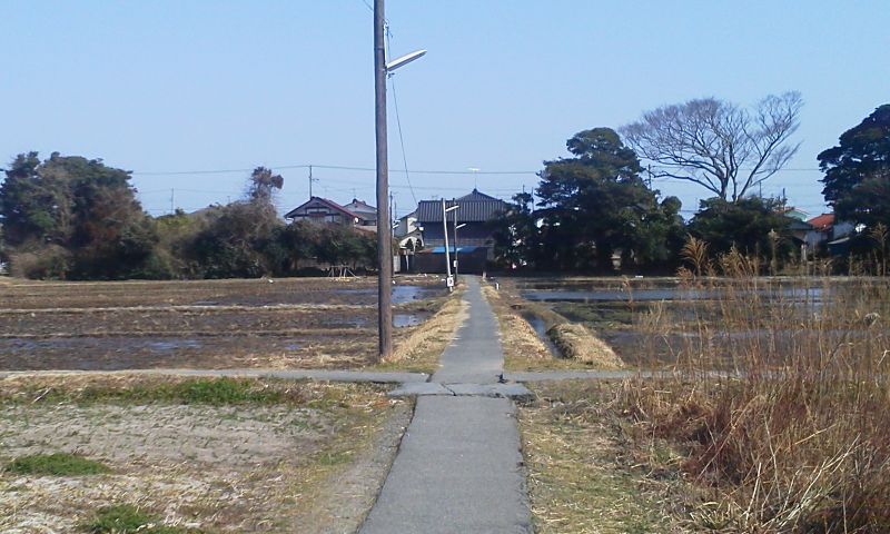 水没した田んぼ