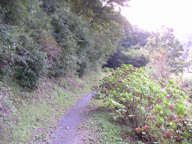 富士山北側 その1