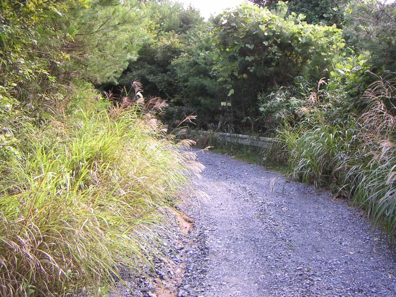 富士山北側 その2