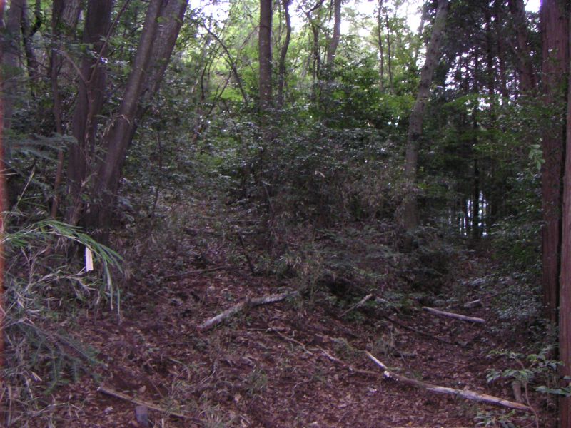 富士山頂への道