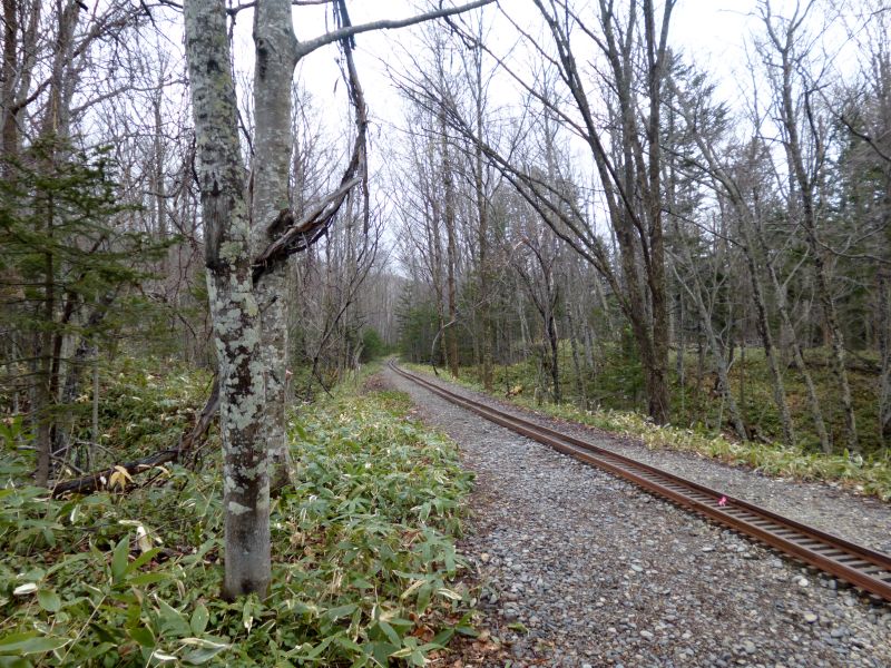 森のトロッコ鉄道 エコレール