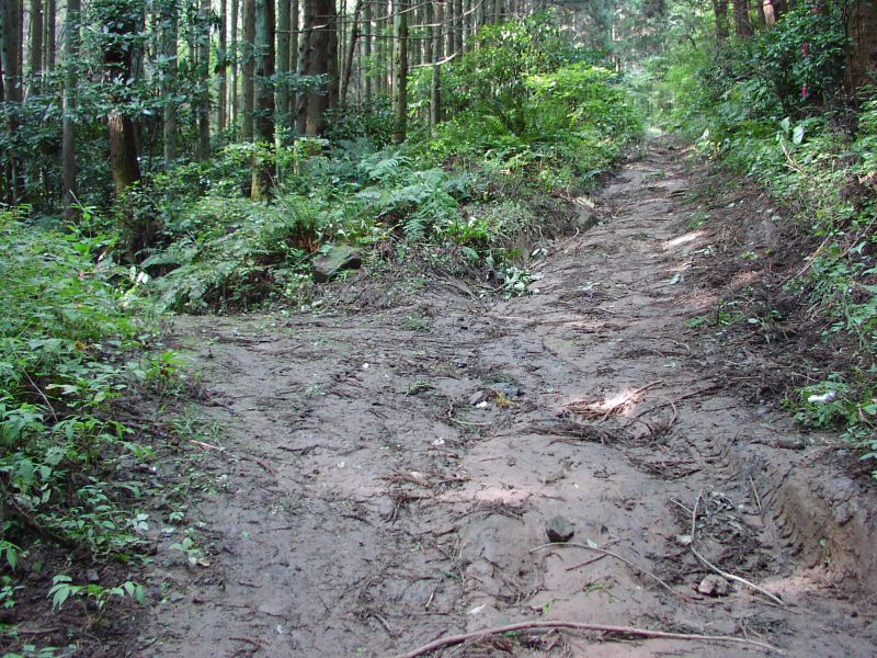 分岐 その1