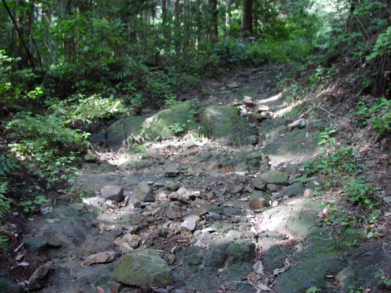露出した岩