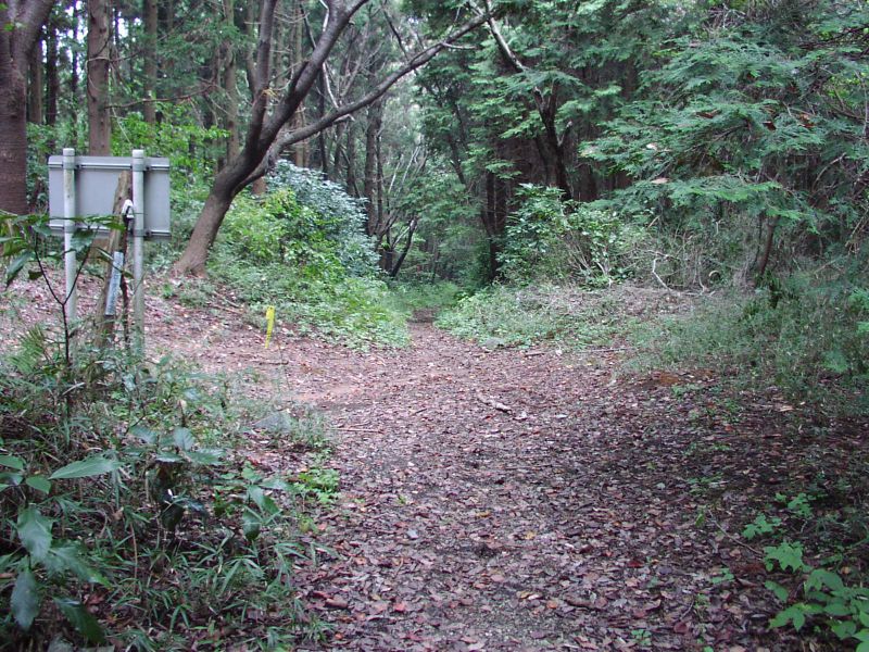 分岐 その3