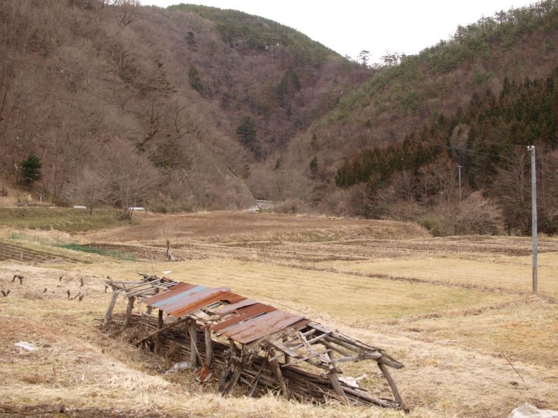 田んぼ