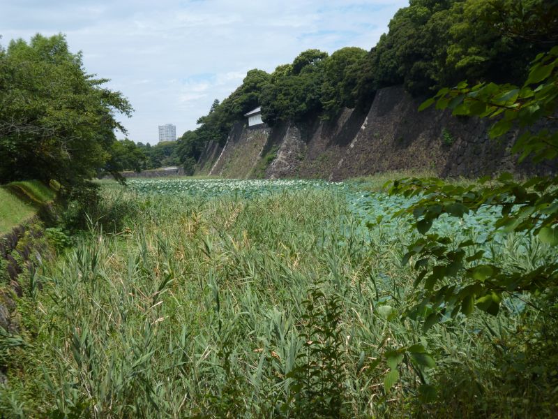 蓮池濠