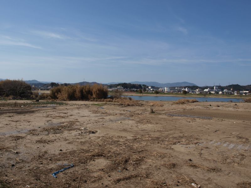 鮫川河口2