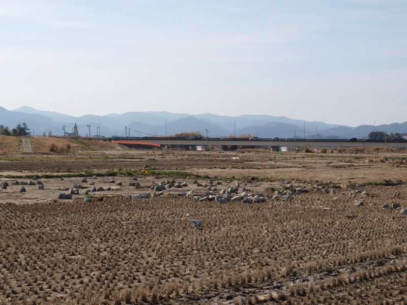 鮫川河口4