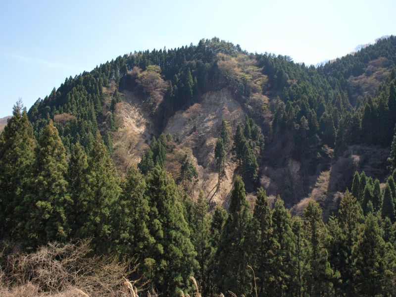 田人町5