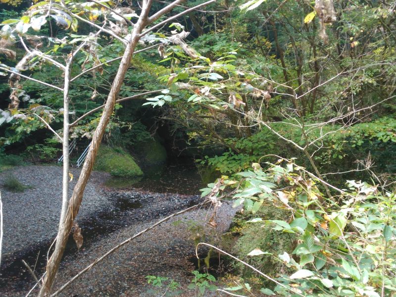 亀ヶ淵