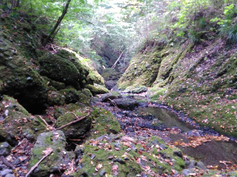 竜神川