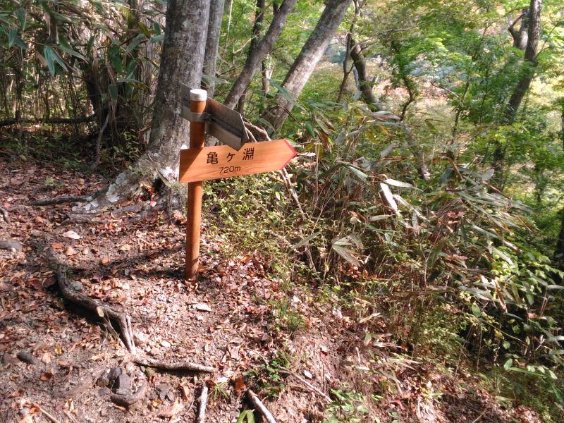 亀ヶ淵へ向かう道の指導標