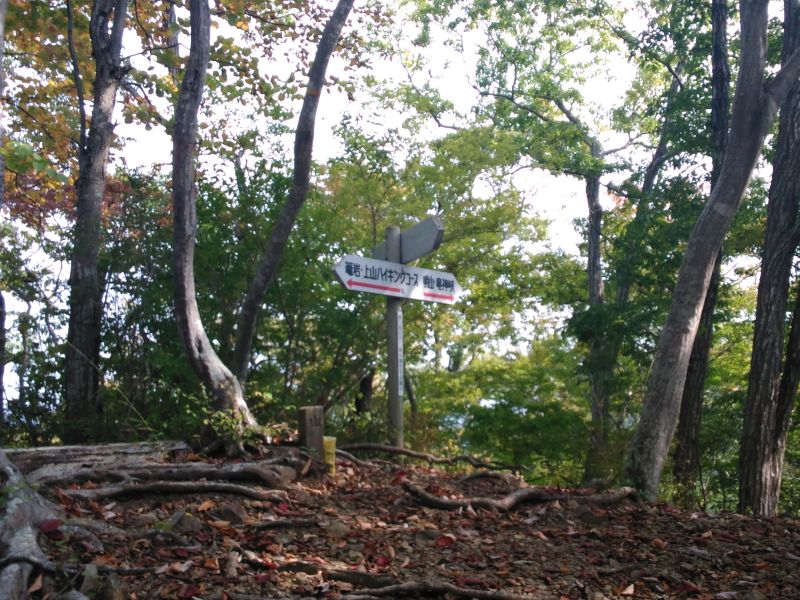 明山へ向かう道の指導標