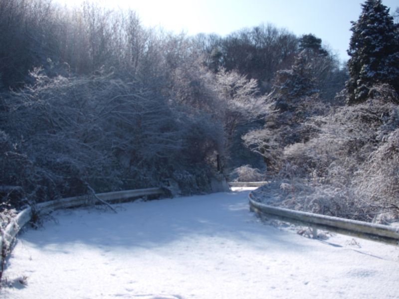 茨城県道36号 日立山方線旧道