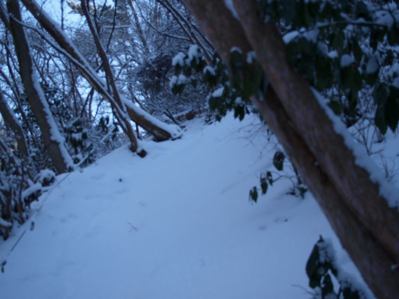登山道とロープ