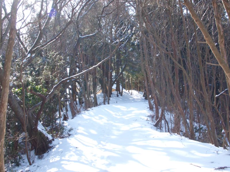 山頂まであと一息
