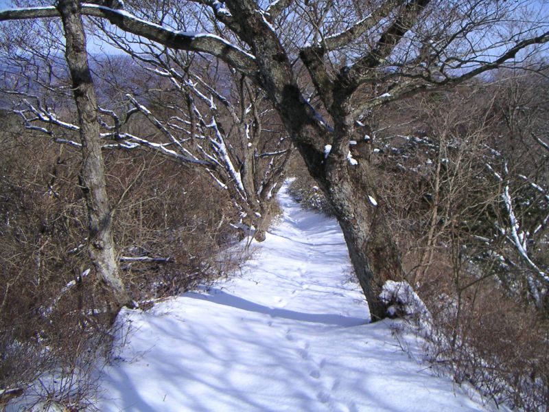 鞍掛山方面への道