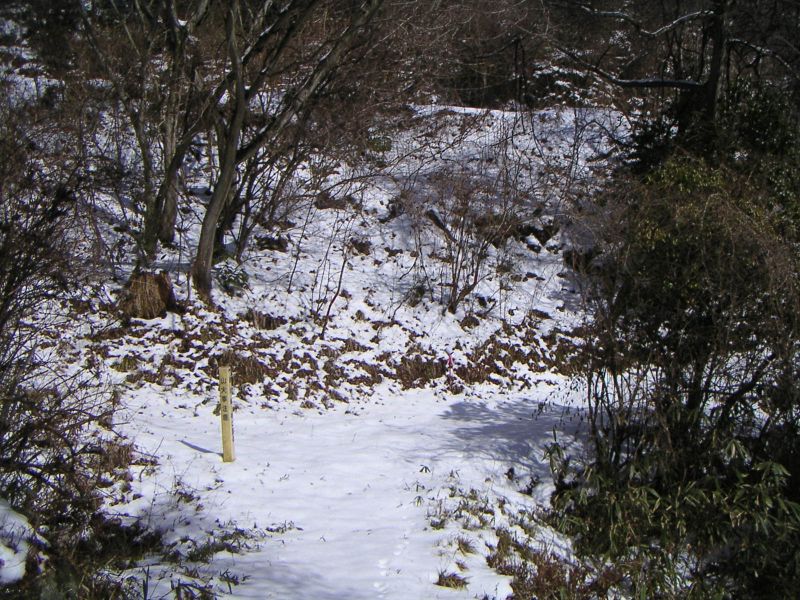 川沿いの道(下)と小木津山林道(上)
