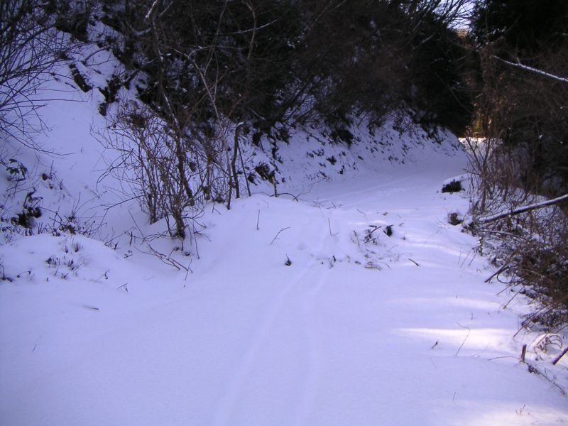 小木津山林道