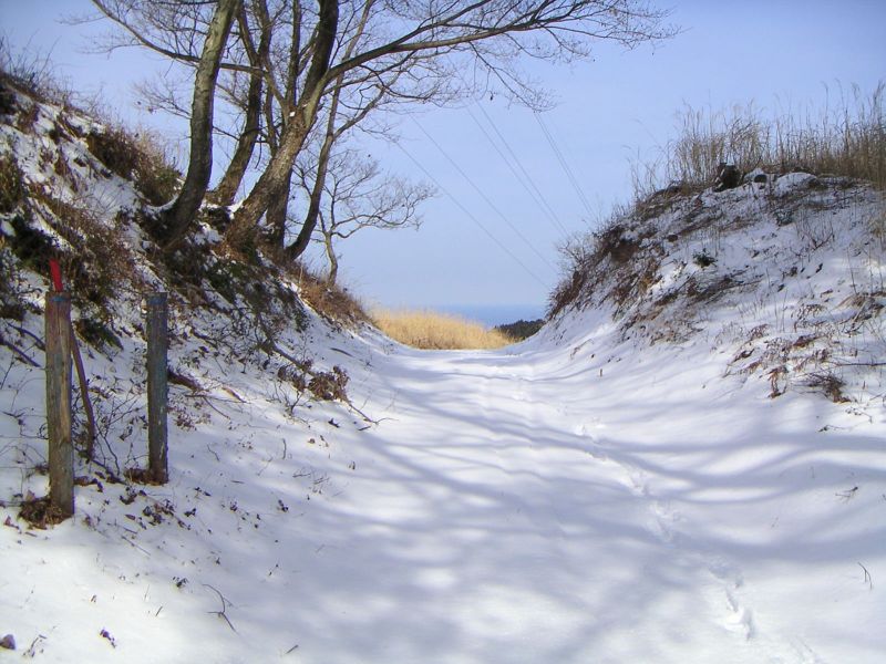 石尊山林道