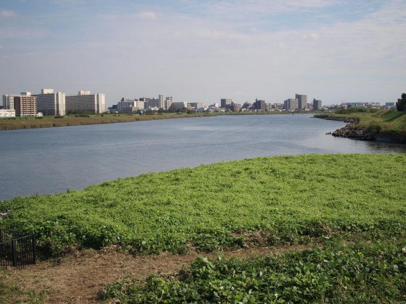 多摩川河川敷