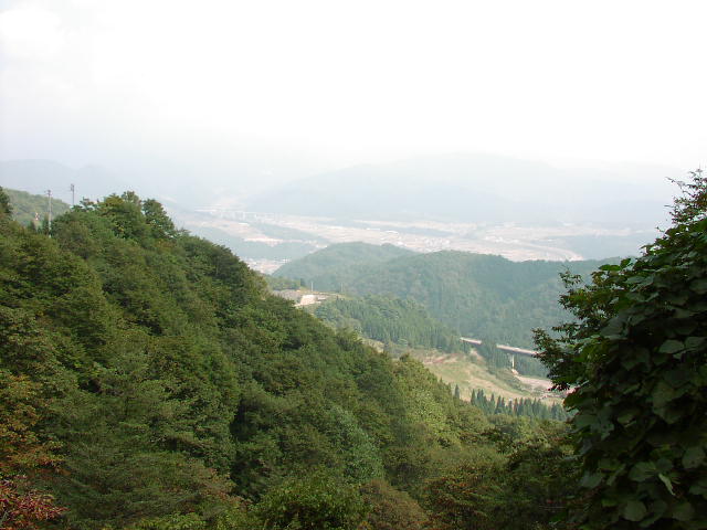 白鳥市街