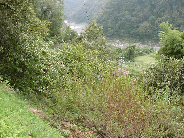 天竜川と飯田線