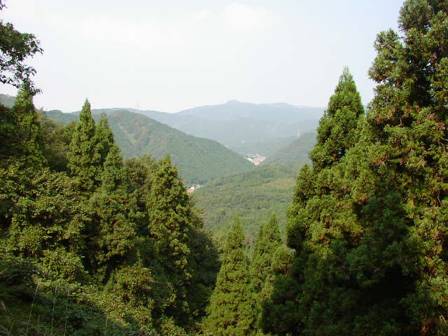 美山市街