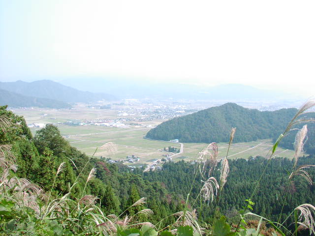 大野市街