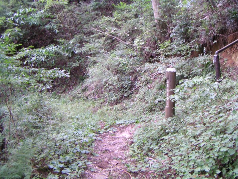 関東ふれあいの道との分岐