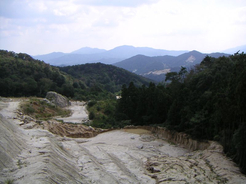 2007(平成19)年