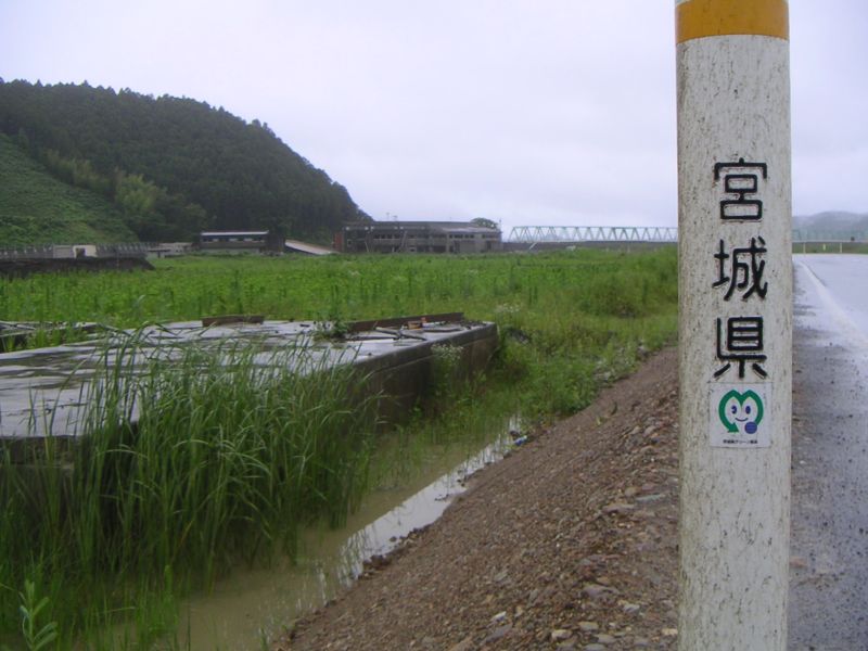 大川小遠景