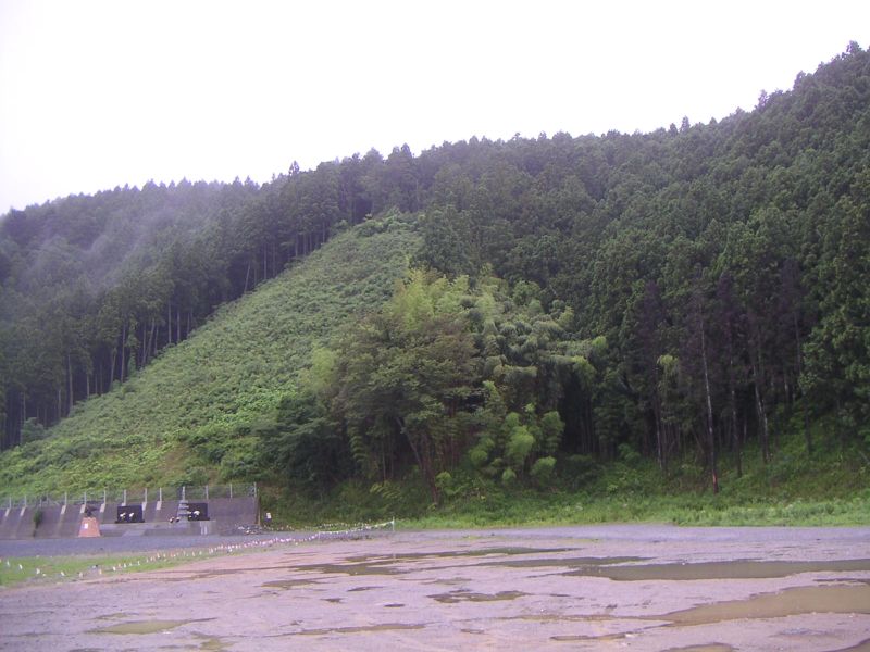 裏山その2