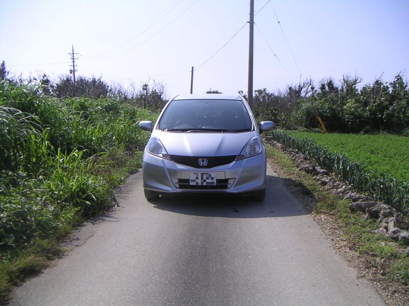 喜屋武岬への道