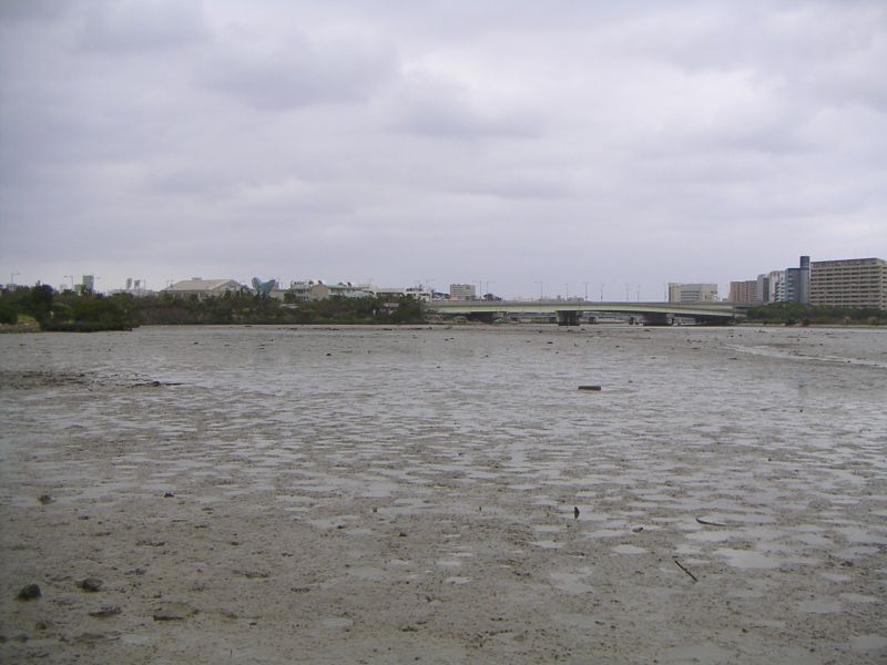 漫湖