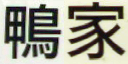 家鴨