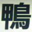鴨