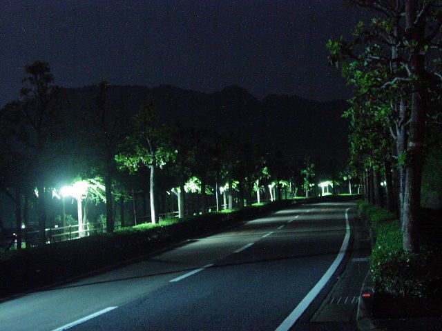 嬉野市嬉野町下宿