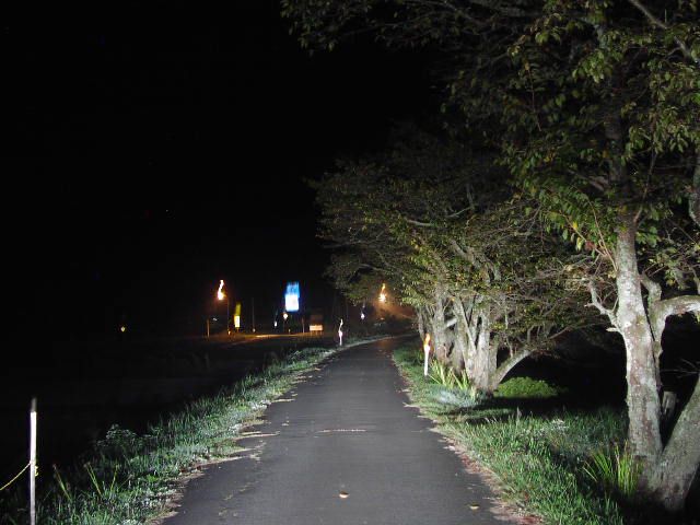 安来市伯太町東母里