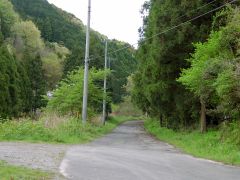 山道入口