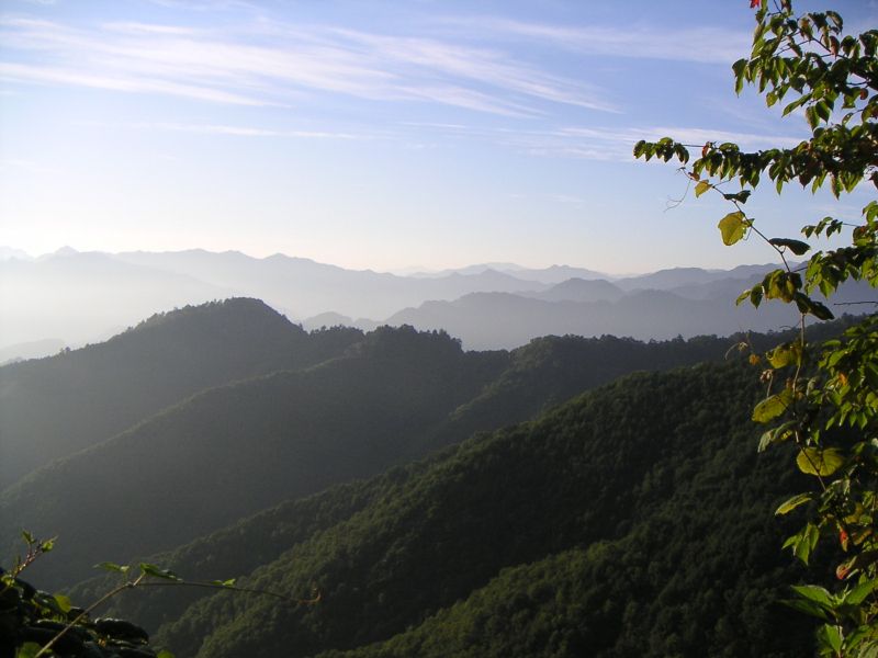 ぶどう峠